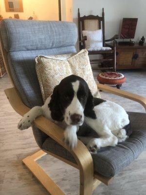 photo of Adrienne C.