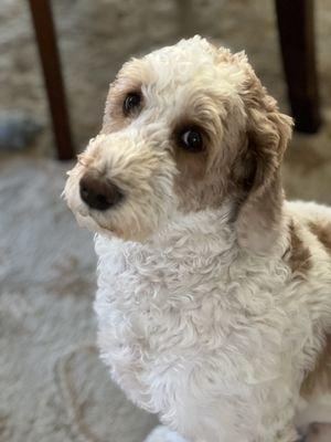 photo of Jonathan L.