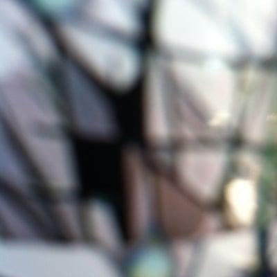 Photo of Stephanie G.