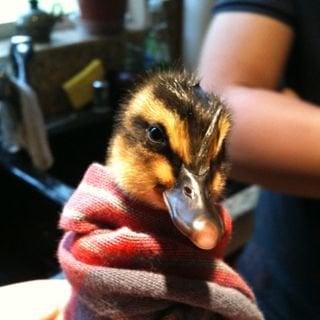 photo of Christina C.