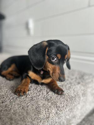 photo of Catherine C.