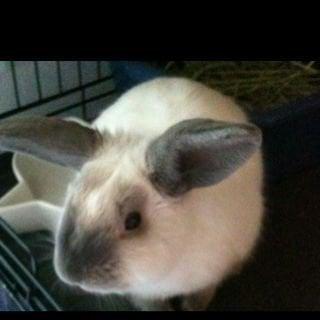 photo of stephanie l.