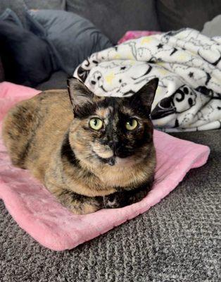 photo of Christine V.