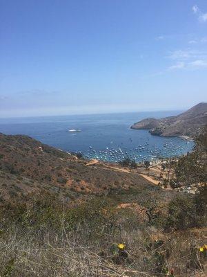 photo of Elizabeth C.