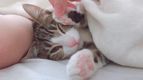 Photo of Wasabi Y.