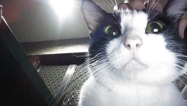 photo of Alejandra T.