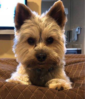 photo of Salvador P.