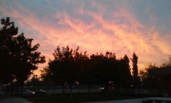 photo of Jennifer F.