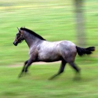 photo of Santiago C.