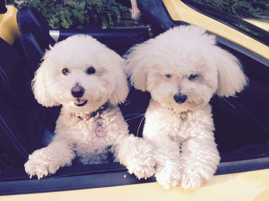 photo of Carolynne B.