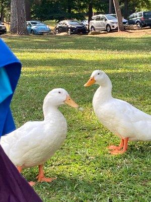 photo of Michelle J.