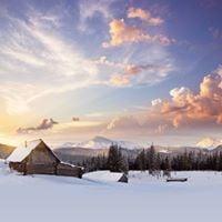 photo of Michelle L.