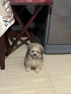 photo of Christine E.