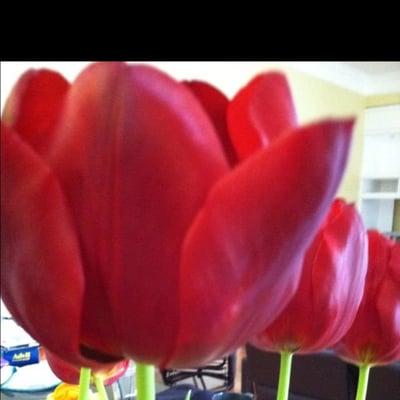 photo of Margaret V.