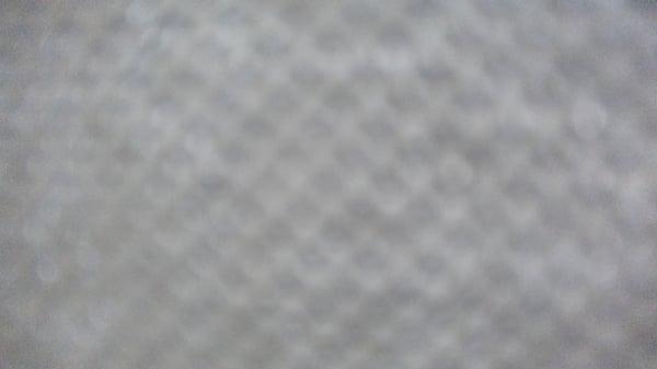 photo of Rigo.Diana R.