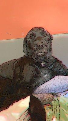 photo of Elisabeth W.