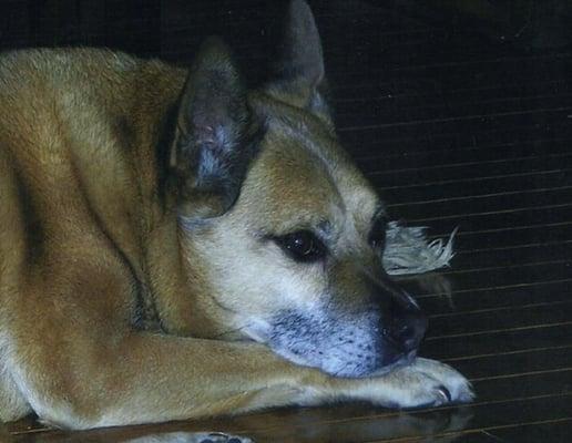 photo of Tonimaria G.