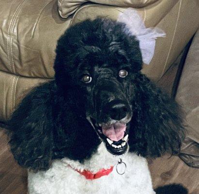 Photo of Jefferson D.