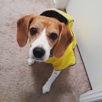 photo of Cass Thompson