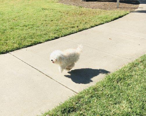 photo of Reviewers_JB ..