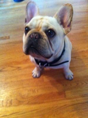 photo of Kristina Y.