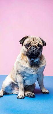 photo of Charlene S.