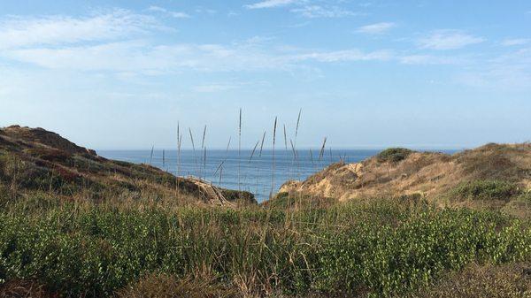 photo of Ourmedspa T.