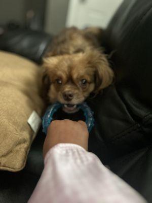 photo of Gianna