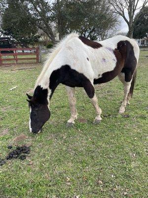 photo of Samantha O.