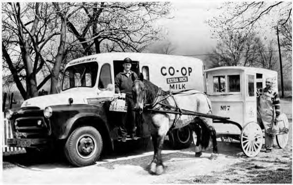 photo of Anastasia B.