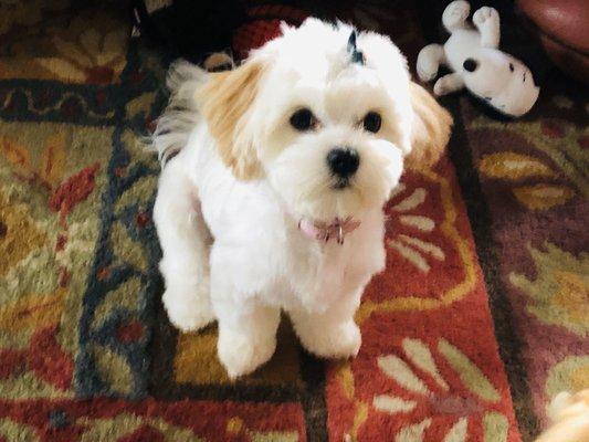 Photo of Ersilia H.