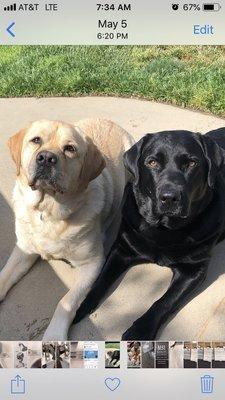 photo of Mary Ellen M.