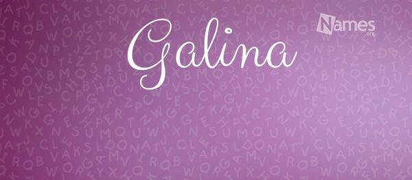 Photo of Galina O.