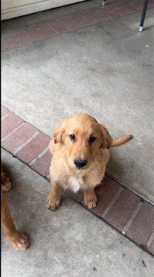 photo of Christopher F.