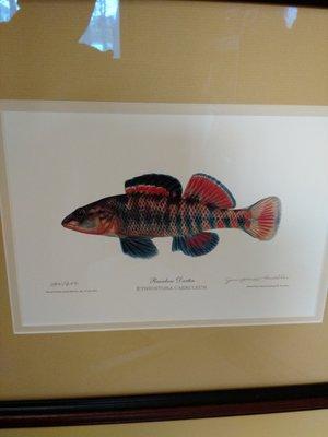 photo of Granville S.