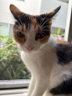 Photo of Mirella L.
