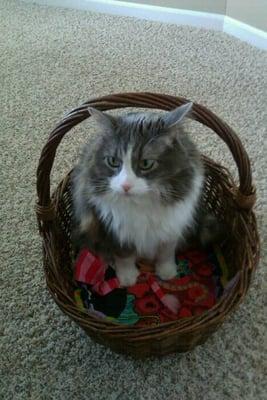 Photo of Jennifer S.