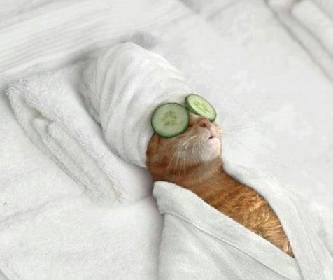 Photo of Meeee T.