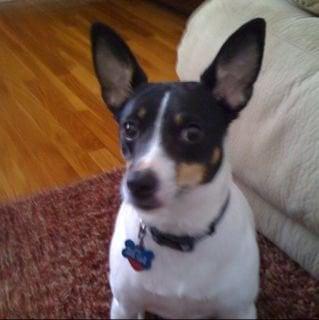 Photo of Andy R.
