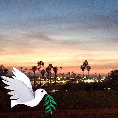 photo of Veronica C.