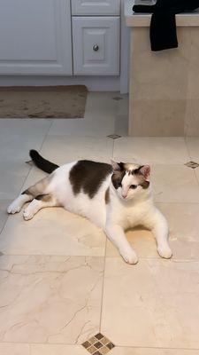 Photo of Layla S.