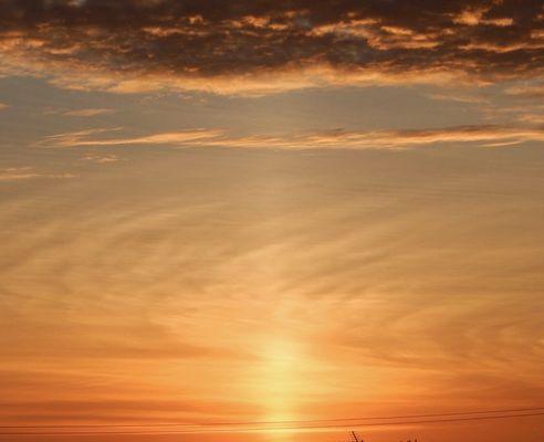 photo of Stephanie W.