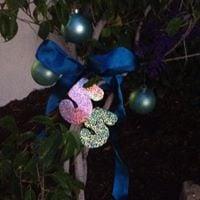 photo of Charlene B.