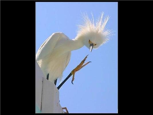 Photo of Bill N Carla S.