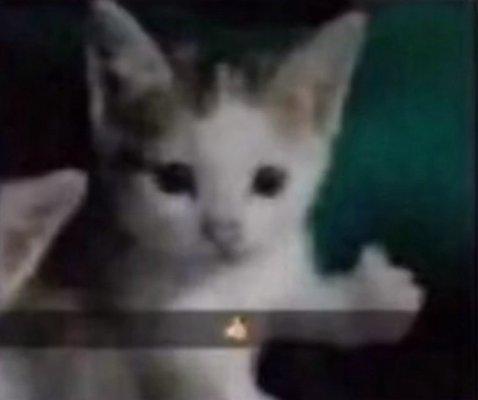 Photo of estefany q.