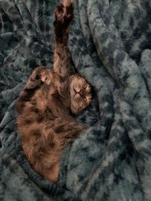 Photo of Sian S.