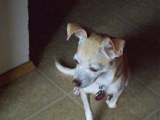 Photo of Babette F.