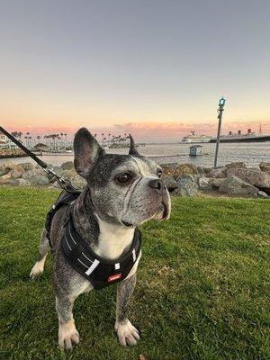 photo of Kanokporn D.