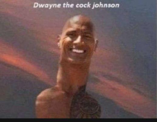 photo of Hot Horses N.