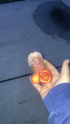 photo of Abigayle-Anna W.